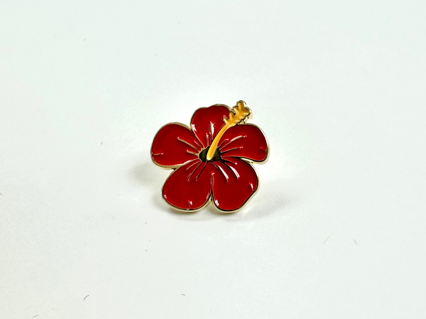 Pin Maga