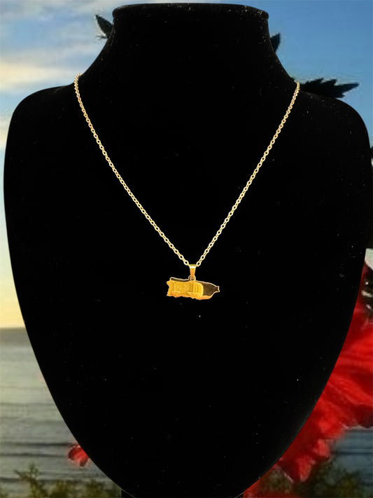 Cadenda con Mapa Liso Oro