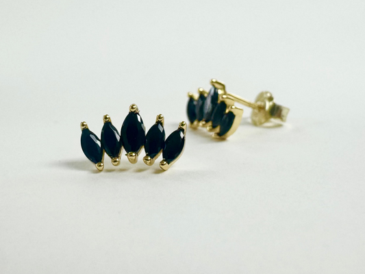 Laurel - hojas Negras